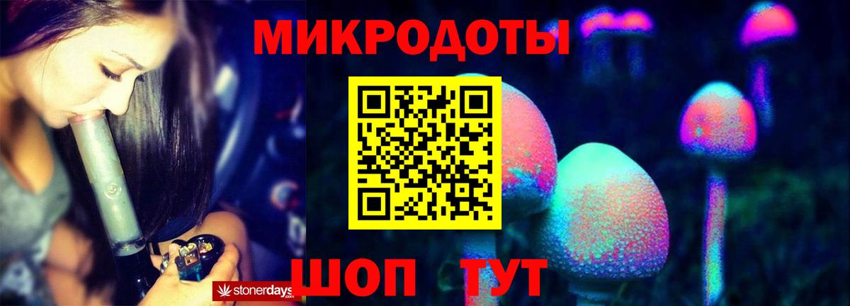 Псилоцибиновые грибы мицелий  Вход с VPN  Гатчина 